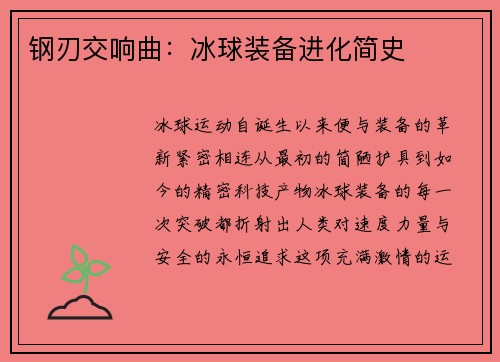 钢刃交响曲：冰球装备进化简史