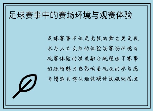 足球赛事中的赛场环境与观赛体验