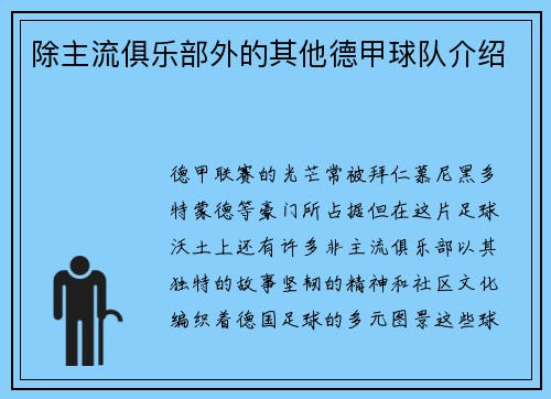 除主流俱乐部外的其他德甲球队介绍